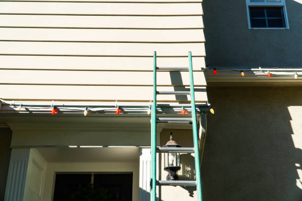 Affordable siding repair and maintenance services in Necedah, WI