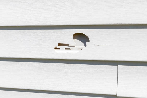 Best Fiber Cement Siding Installation  in Necedah, WI