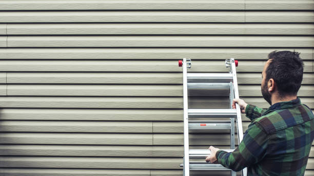 Best Custom Siding Design  in Necedah, WI