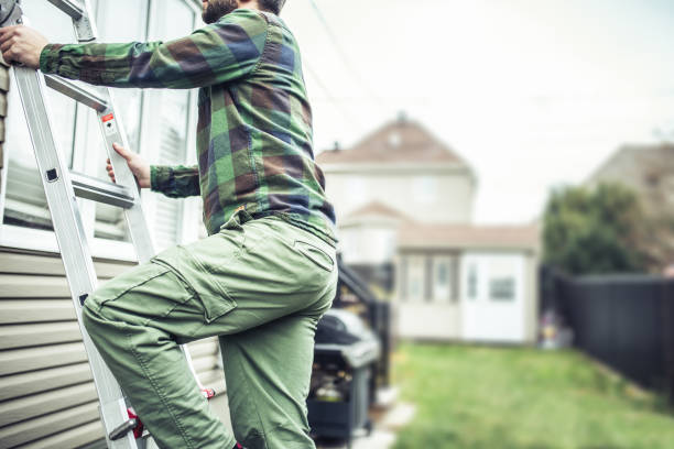 Best Fascia and Soffit Installation  in Necedah, WI